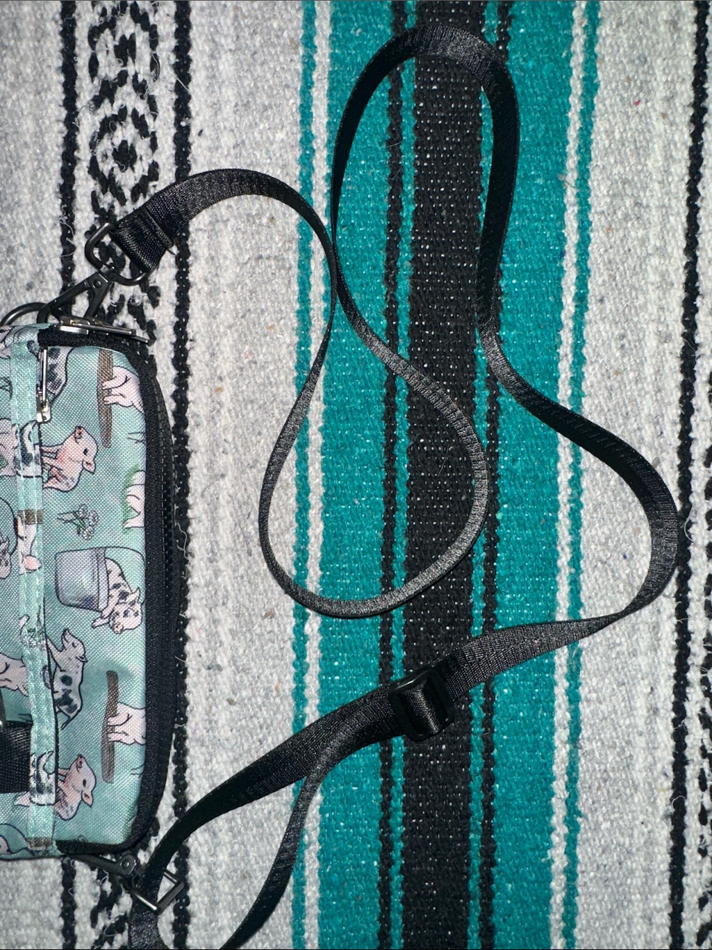 Sipsey Wilder *Nwot* Women's Piggy Patch Crossbody Bag With Adjustable Strap — image 7 of 8